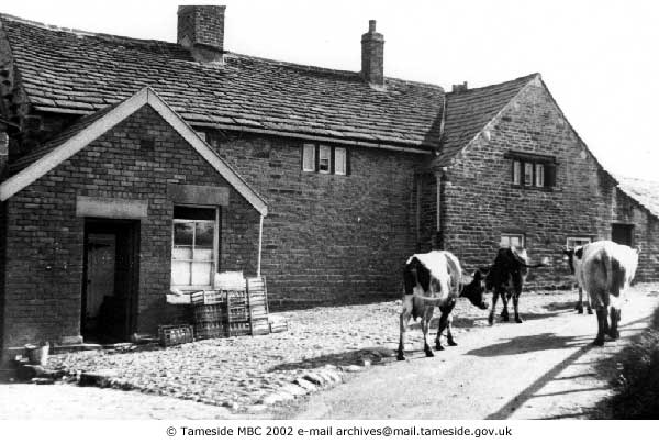 Alt Hill Farm, Ashton-under-Lyne