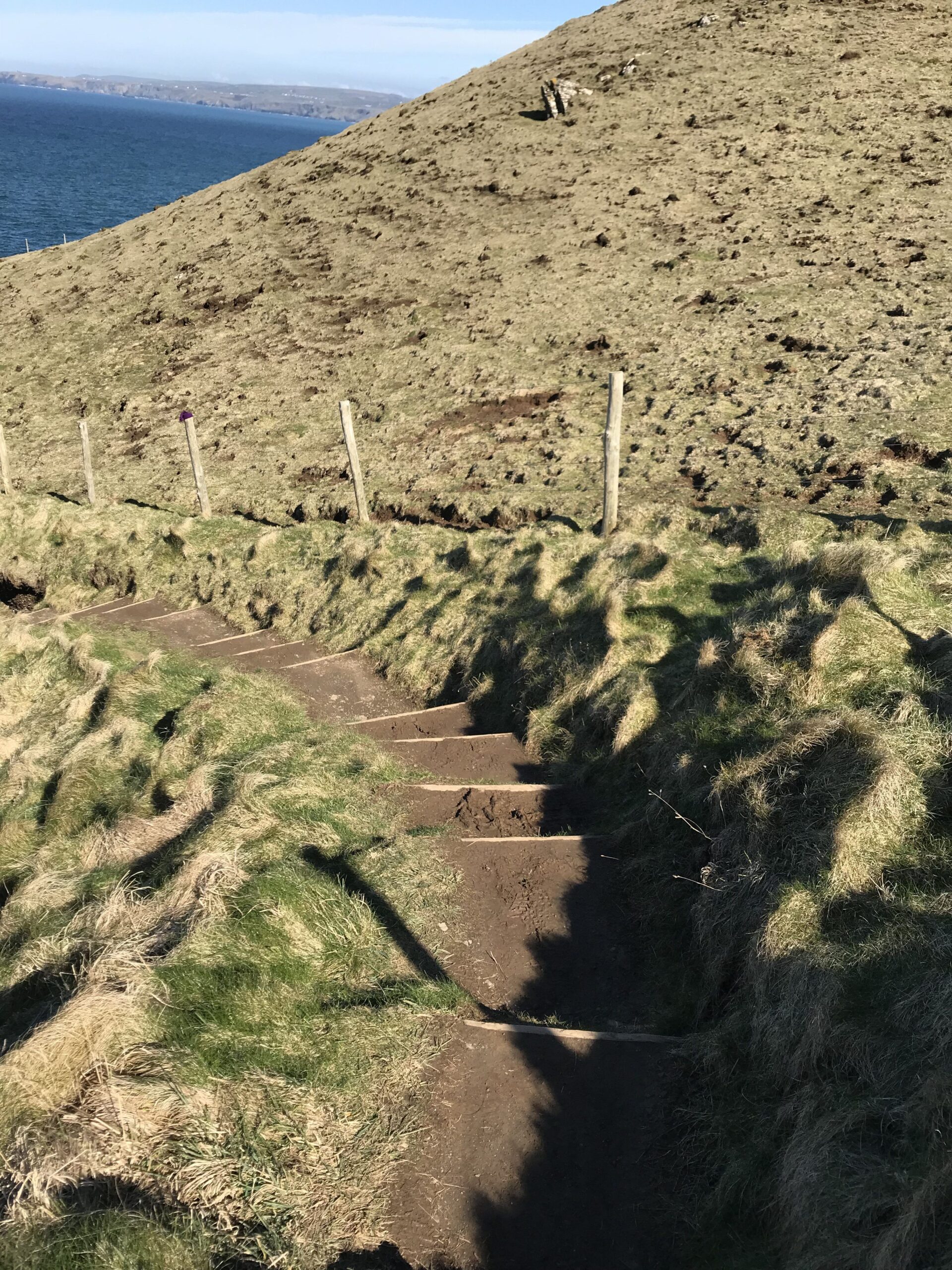 A walking trial in Port Isaac